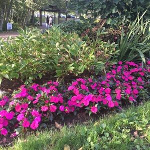 Meet your Posher, Hilary